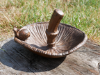 Mushroom Bird Feeder
