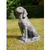 Sitting Dog