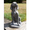 Sitting Dog