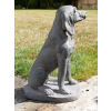 Sitting Dog