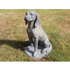 Sitting Dog