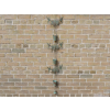 Birds Rain Chain