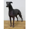 Standing Dog