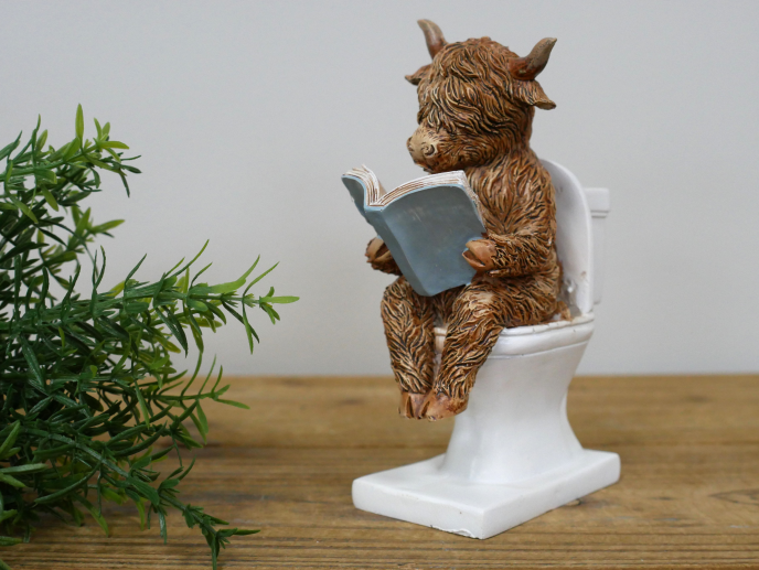 Highland Cow On The Loo