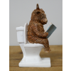 Highland Cow On The Loo