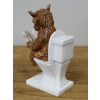 Highland Cow On The Loo