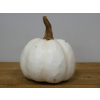 Sunflower Pumpkin