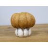 Small Pumpkin