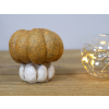 Small Pumpkin