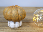 Small Pumpkin