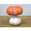 Small Pumpkin
