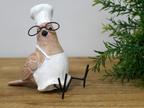 Bird Chef