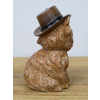 Highland Cow With A Hat