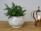 Face Vase