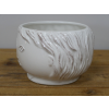 Face Vase
