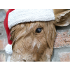 Christmas Cow Wall Decoration