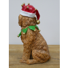 Dog With Christmas Hat