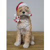 Christmas Dog With Candy Cane
