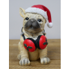 Dog With Headphones