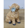 Highland Cow With Flower In Mouth