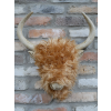 Woolly Highland Cow Wall Decoration