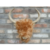Woolly Highland Cow Wall Decoration