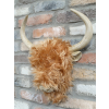 Woolly Highland Cow Wall Decoration