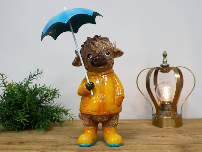 Highland Cow In The Rain