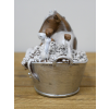 Cow In The Bath