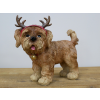 Dog With Antler Ears