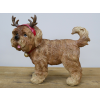 Dog With Antler Ears