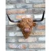 Cow Head