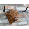 Cow Head