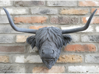 Cow Head