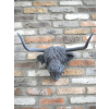 Cow Head