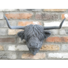 Cow Head