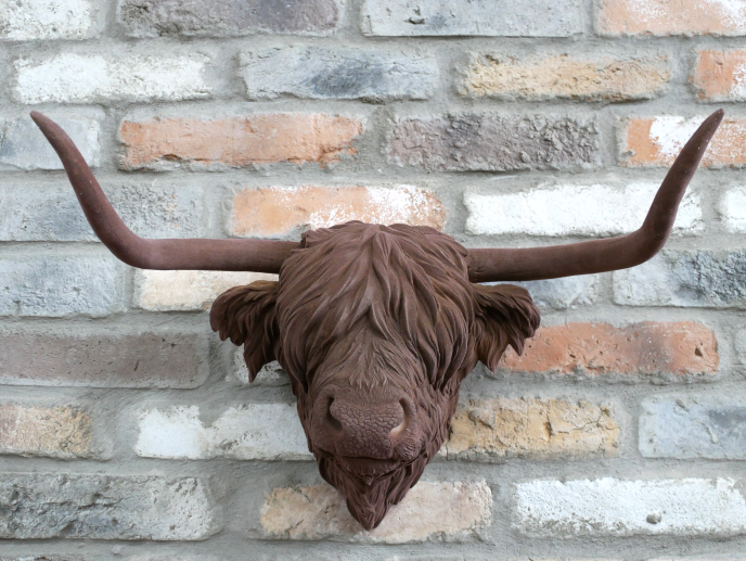 Cow Head