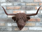 Cow Head