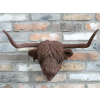 Cow Head