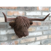 Cow Head