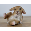Mini Rabbits