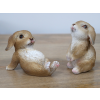Mini Rabbits