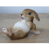 Mini Rabbits