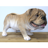 Bulldog Planter
