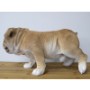 Bulldog Planter