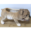 Bulldog Planter