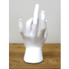Palmistry Hand