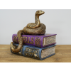 Snake On Spell Books
