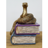 Snake On Spell Books