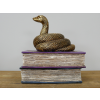 Snake On Spell Books